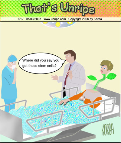 cartoon 12, stem cells